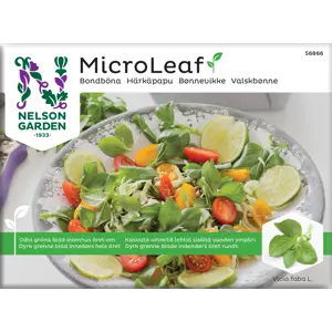 Frø bønnevikke MicroLeaf