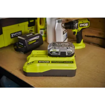 Hurtiglader dobbelspenning RC1836112, bilde 5