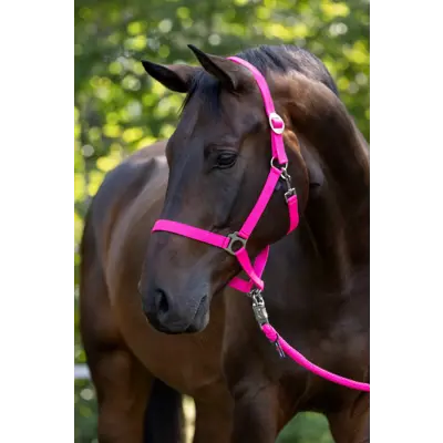 Grime Hippo rosa, bilde 2