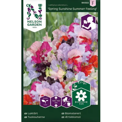 Frø blomsterert Summer Feeling