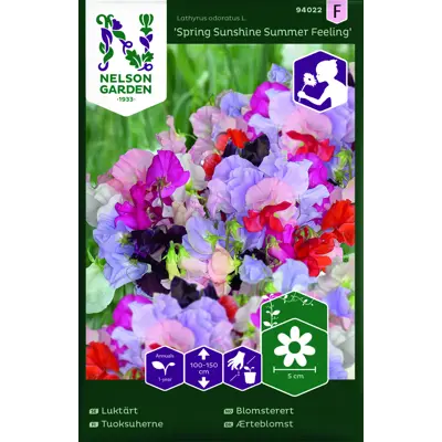 Frø blomsterert Summer Feeling