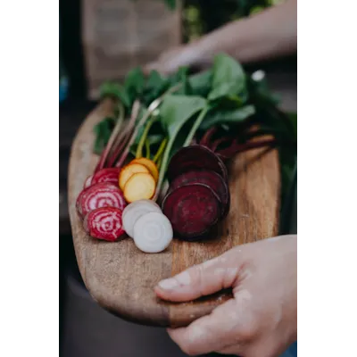 Frø rødbete Hullahoop mix, bilde 3