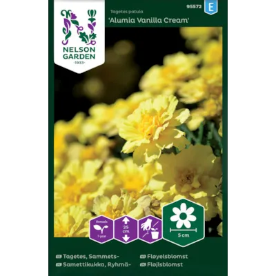 Frø fløyelsblomst Alumia Vanilla Cream