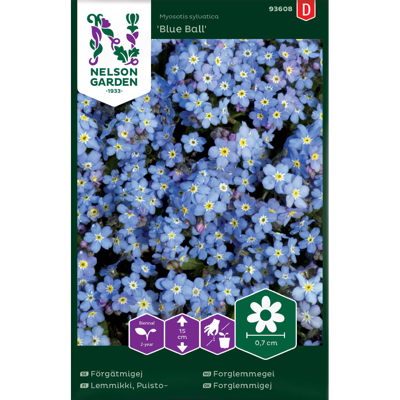 Frø forglemmegei Blue Ball