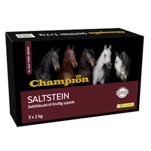 Saltstein 3 x 2 kg