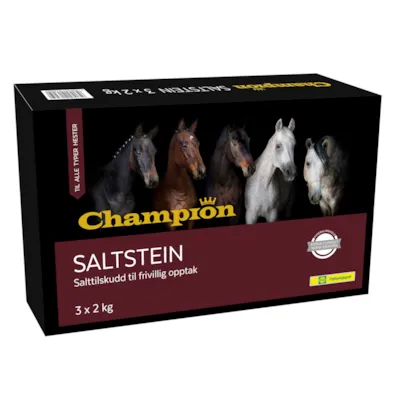 Saltstein 3 x 2 kg