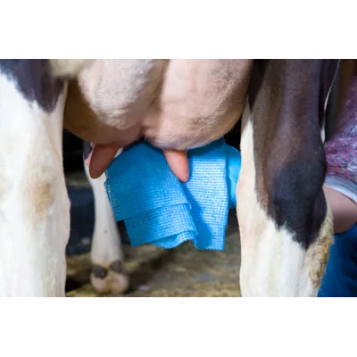 Jurklut UT507 25 pk, bilde 2