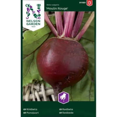 Frø rødbete Moulin Rouge
