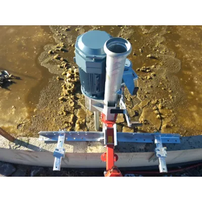 elektrisk stangpumpe, bilde 2