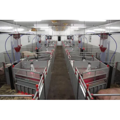 Grisebinge FT-30, bilde 4