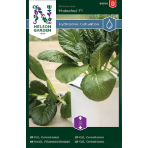 Frø komatsunakål Malachai Harvy