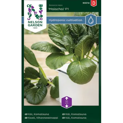 Frø komatsunakål Malachai Harvy