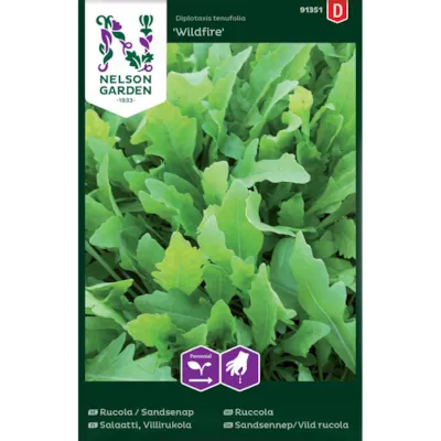Frø ruccola Wildfire