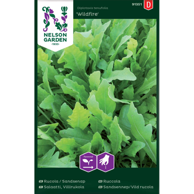 Frø ruccola Wildfire