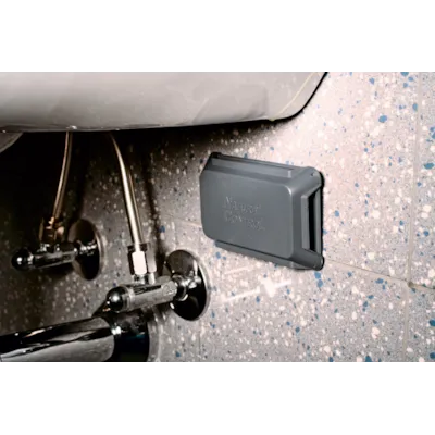 Insektsfelle krypende insekt 2 stk, bilde 2