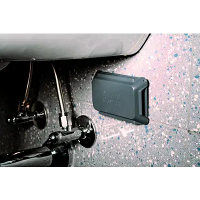 Insektsfelle krypende insekt 2 stk, bilde 2