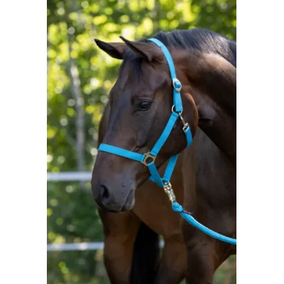 Grime Hippo blå, bilde 2