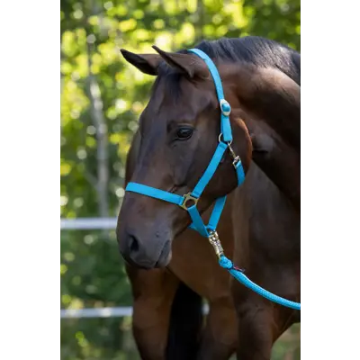 Grime Hippo blå, bilde 2