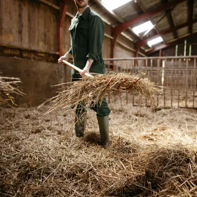 Høygaffel​ Classic Pro 138 cm, bilde 2