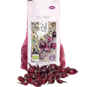 Setteløk rødløk Red Baron økologisk 10/21 250 g