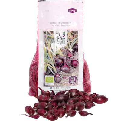 Setteløk rødløk Red Baron økologisk 10/21 250 g