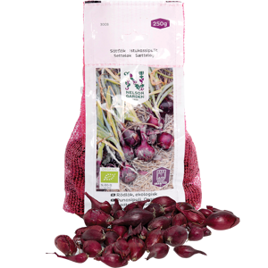 Setteløk rødløk Red Baron økologisk 10/21 250 g