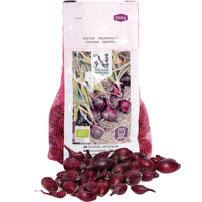 Setteløk rødløk Red Baron økologisk 10/21 250 g