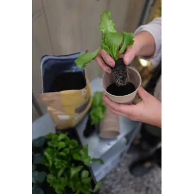 Biohumus Root 4L, bilde 2