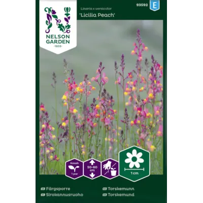 Frø torskemunn Licilia Peach