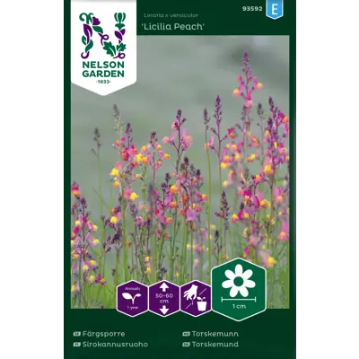 Frø torskemunn Licilia Peach