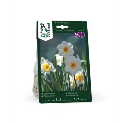 Høstløk edelnarsiss Barrett Browning