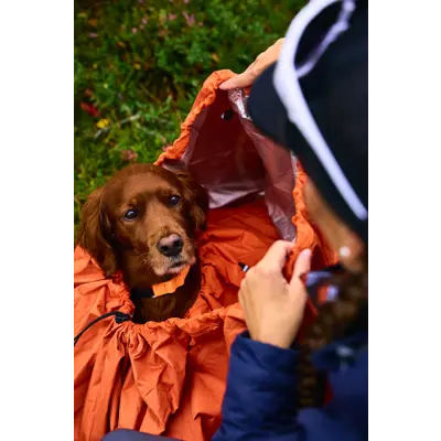 Sovepose Protector til hund orange, bilde 3