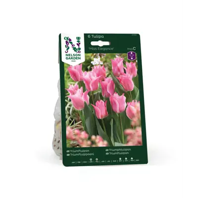 Høstløk tulipan Miss Elegance