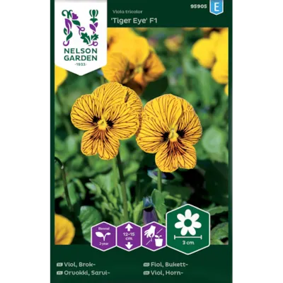 Frø bukettfiol Tiger Eye