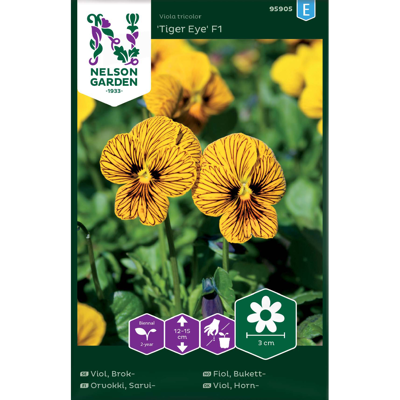 Frø bukettfiol Tiger Eye