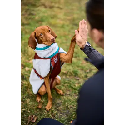 Trekking fleece jakke grå, bilde 6