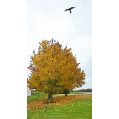 Fugleskremsel 2 pk med 7 meter stang, bilde 3