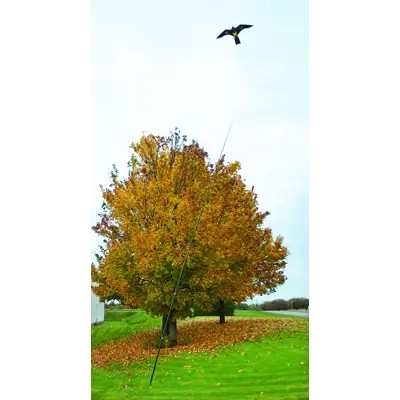 Fugleskremsel 2 pk med 7 meter stang, bilde 3