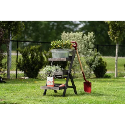 Plantehylle dyp 65x50x95 cm, bilde 2