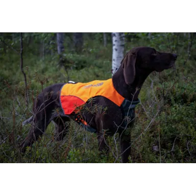 Jaktdekken Protector organge/gul, bilde 6