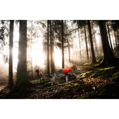 Jaktdekken Protector organge/gul, bilde 4