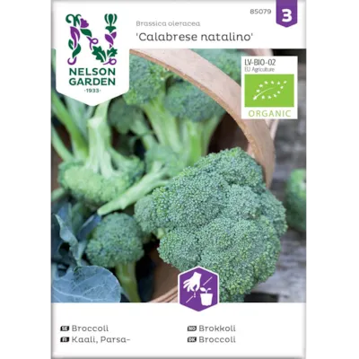 Frø brokkoli Calabrese natalino økologisk