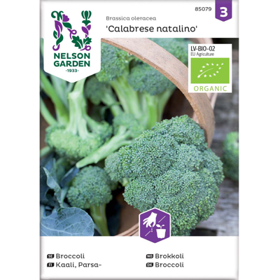 Frø brokkoli Calabrese natalino økologisk