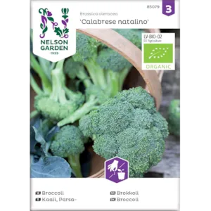 Frø brokkoli Calabrese natalino økologisk