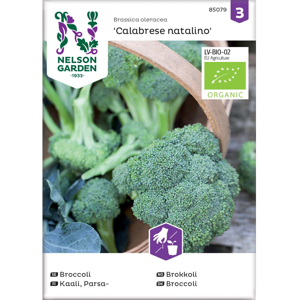 Frø brokkoli Calabrese natalino økologisk