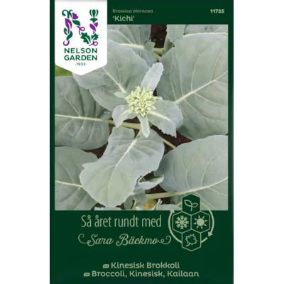 Frø kinesisk brokkoli Kichi