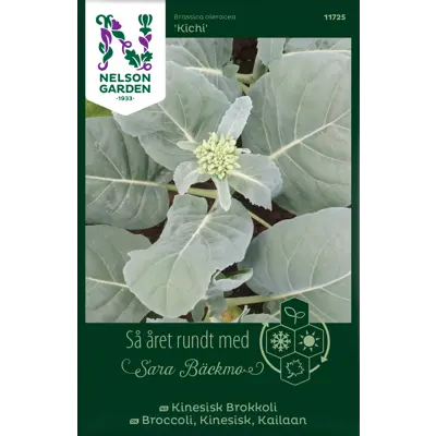 Frø kinesisk brokkoli Kichi