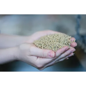 Moderat Solvinge Start