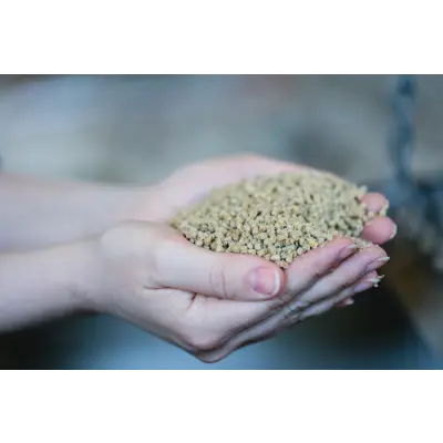 Moderat Solvinge Start