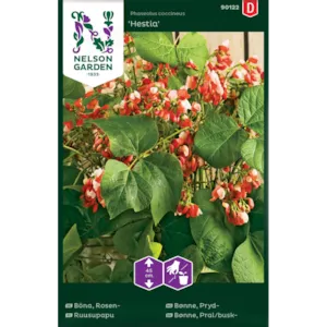 Frø prydbønne Hestia